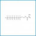 2- (3,3,4,4,5,5,6,6,7,7,8,8,9,9,9,0,10,10-heptadecafluorodécyle 2-méthylprop-2-énoate (CAS 1996-88-9)  
